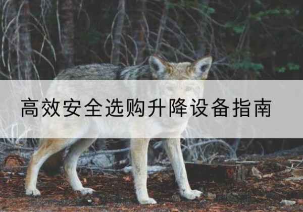 宣化升降货梯厂家推荐-*安全选购升降设备指南