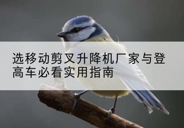宣化电动升降机厂家-选移动剪叉升降机厂家与登高车必看实用指南