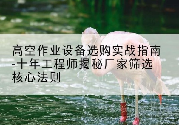 宣化剪叉式升降机厂家-高空作业设备选购实战指南-十年工程师揭秘厂家筛选核心法则